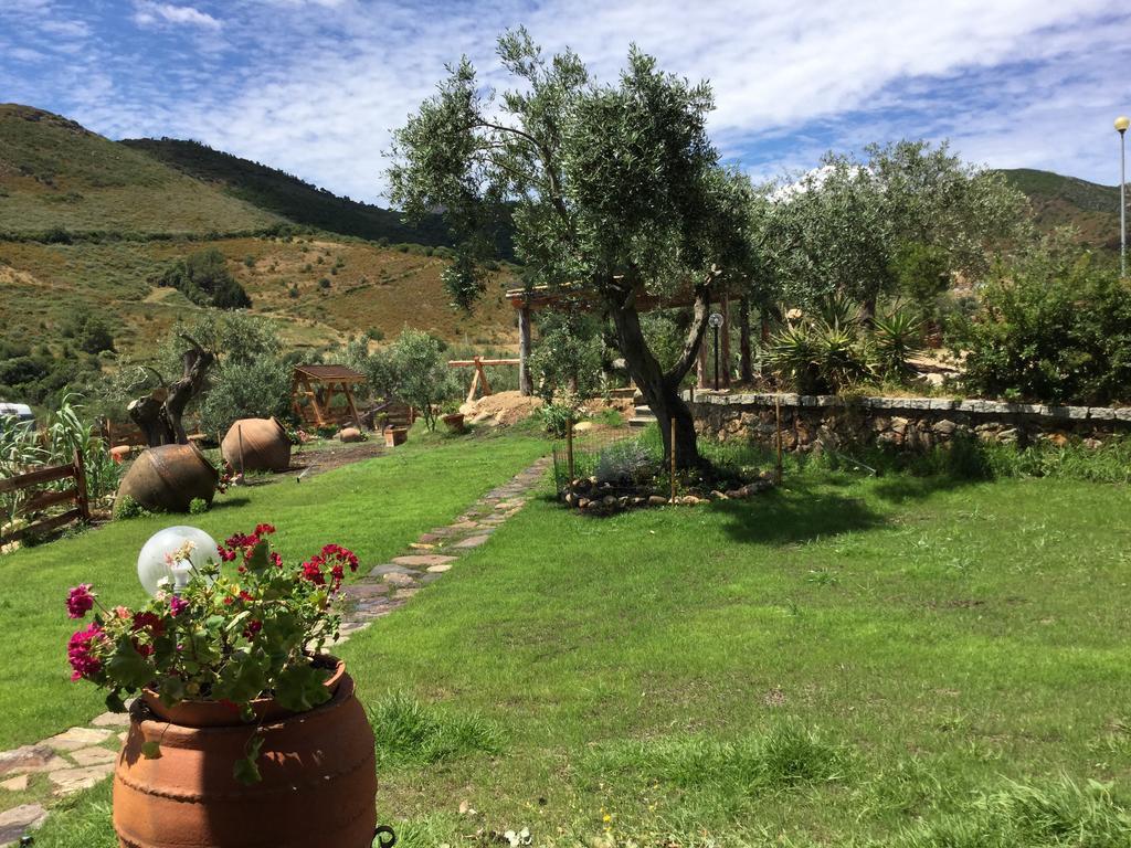 Il Giardino Di Daniela San Teodoro (Sardinia) Exterior foto